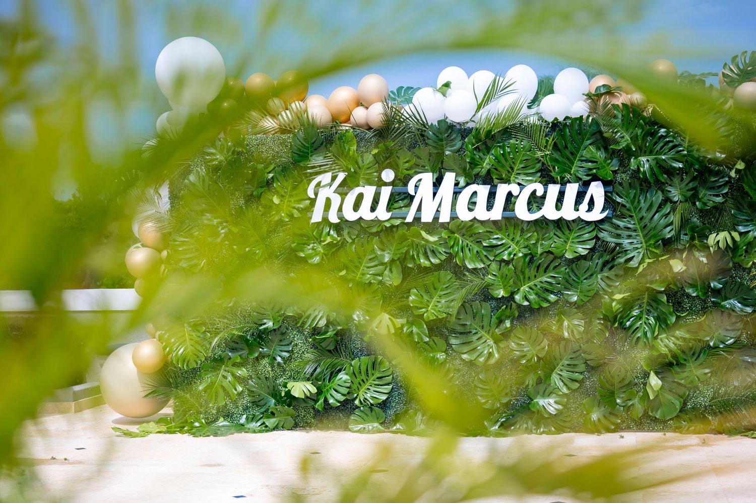 A blurry artistic shot of white text reading 'Kat Marcus' overlaid on green foliage with bokeh light effects.