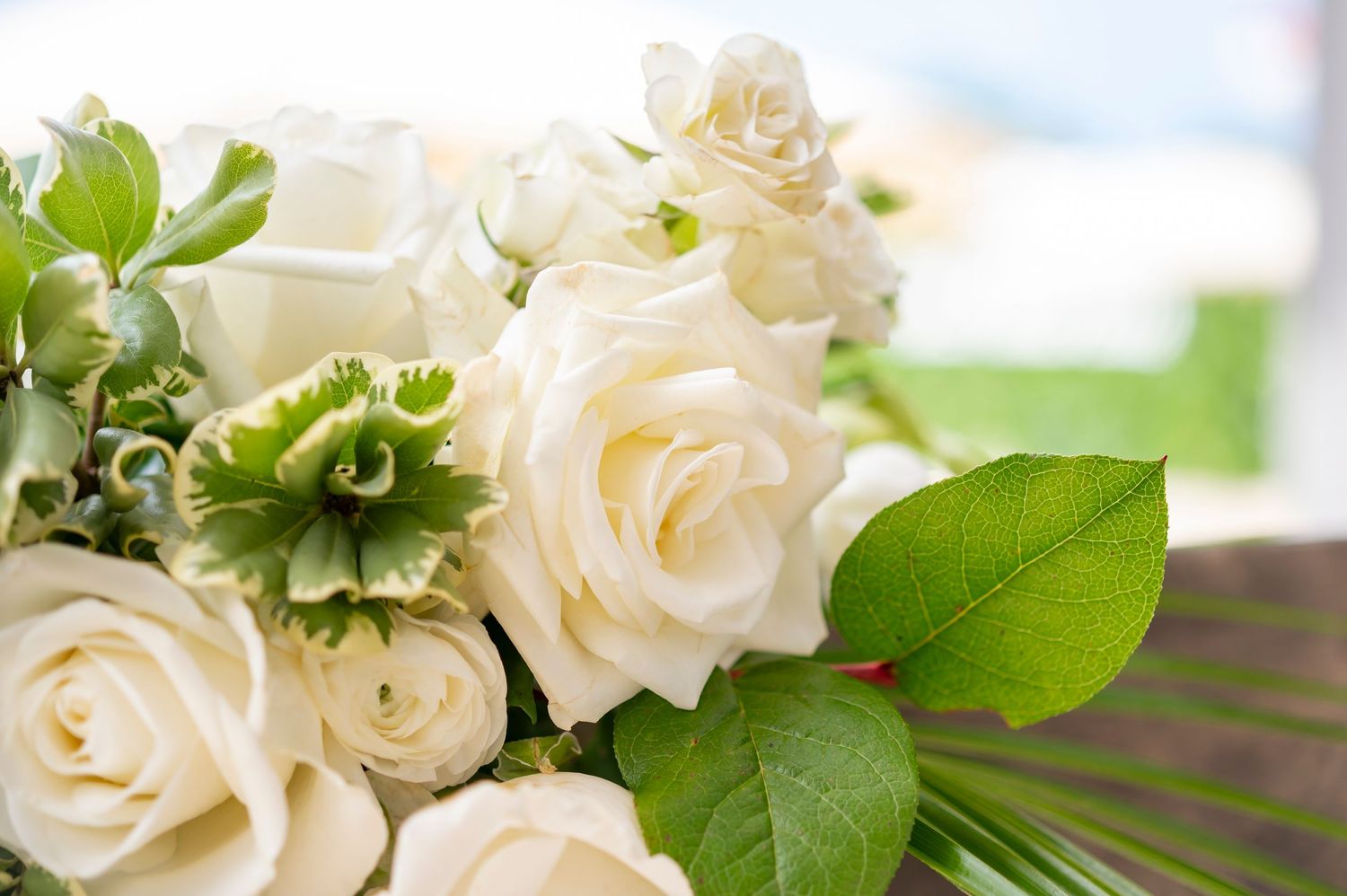 Delicate white roses with green leaves arranged in a soft focus bouquet against a bright blurred background.