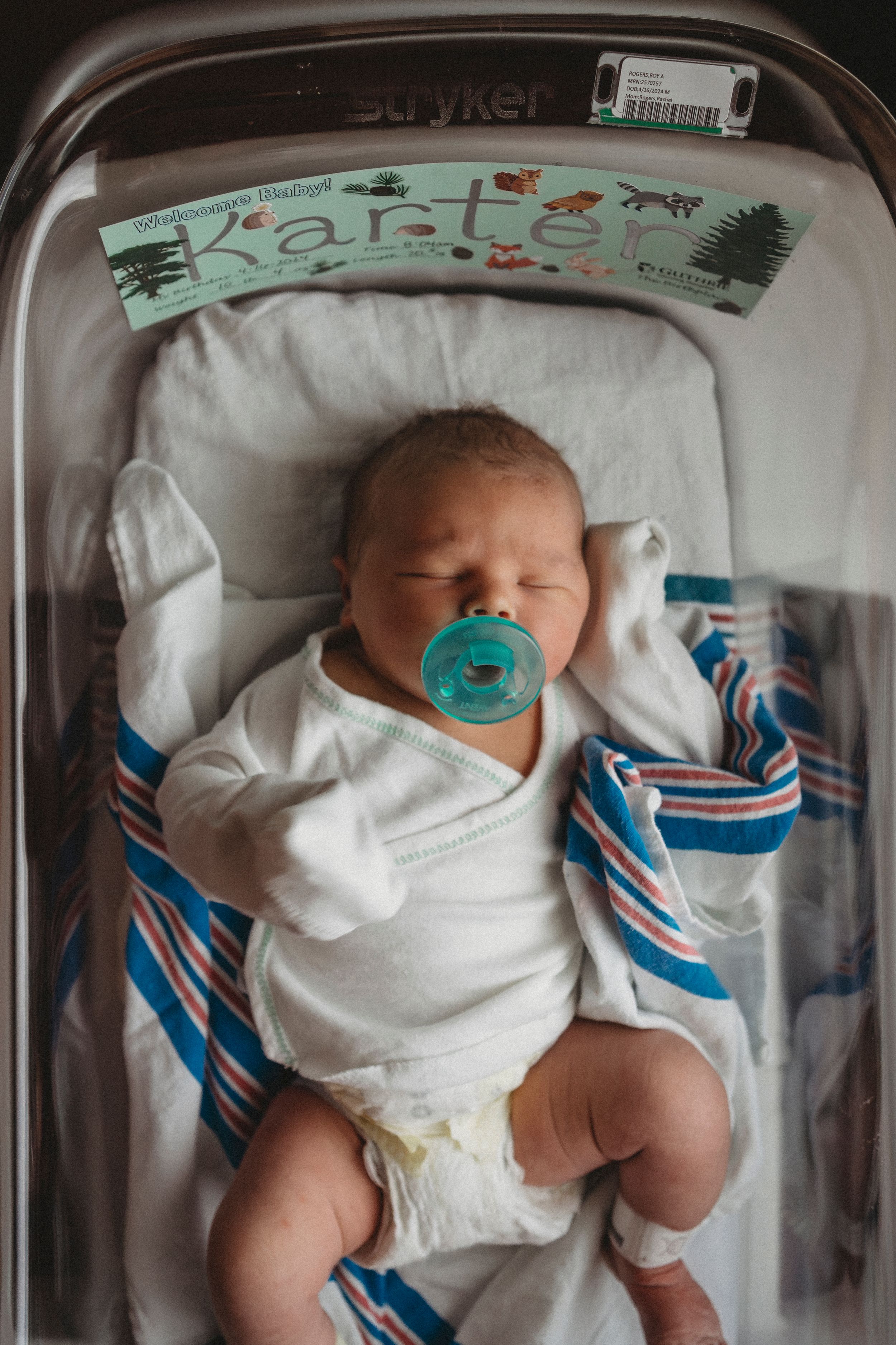 Newborn baby with pacifier resting in hospital bassinet with decorative wildlife border.