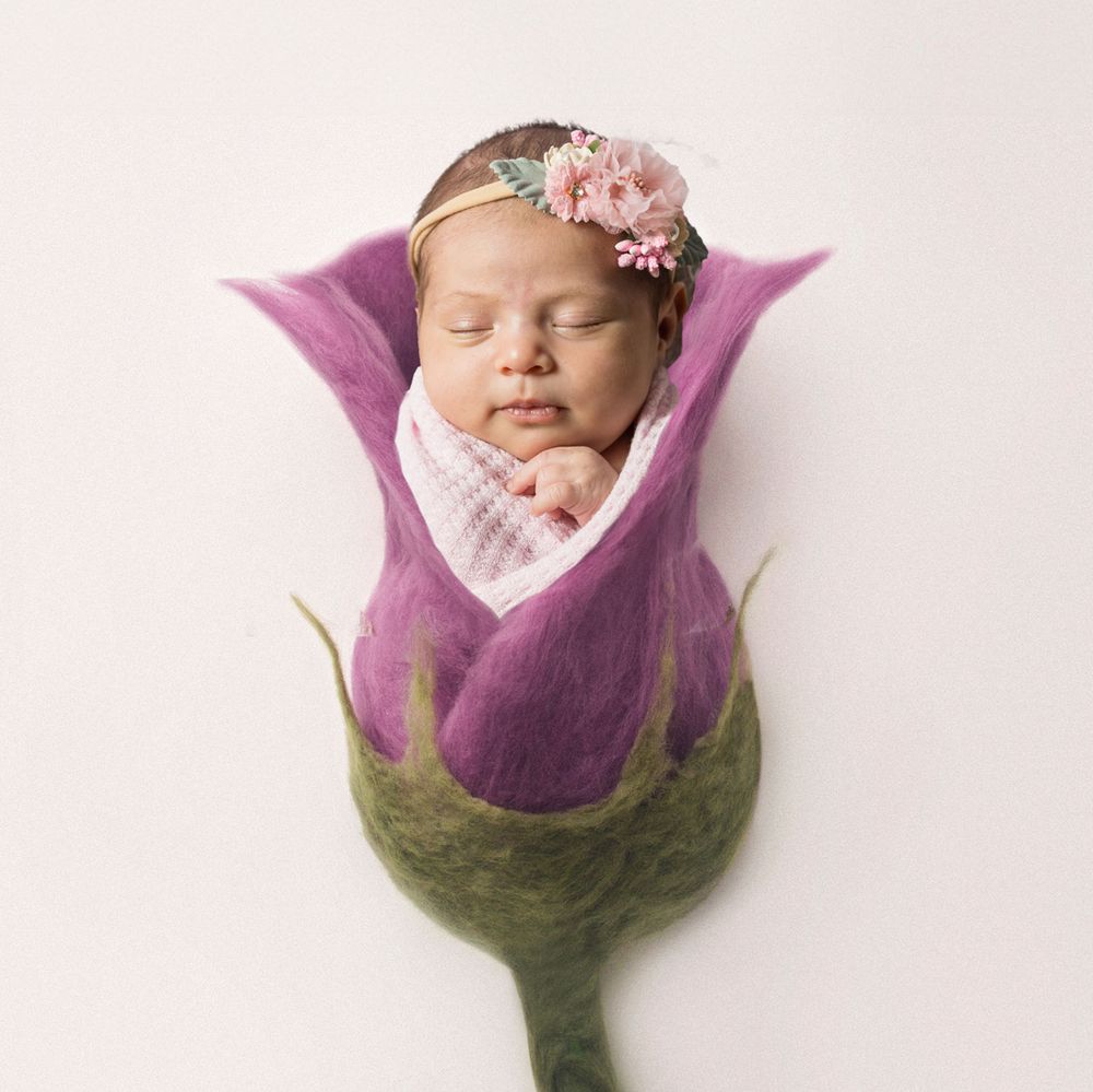 A creative newborn photo featuring a baby nestled in a purple flower-shaped prop.