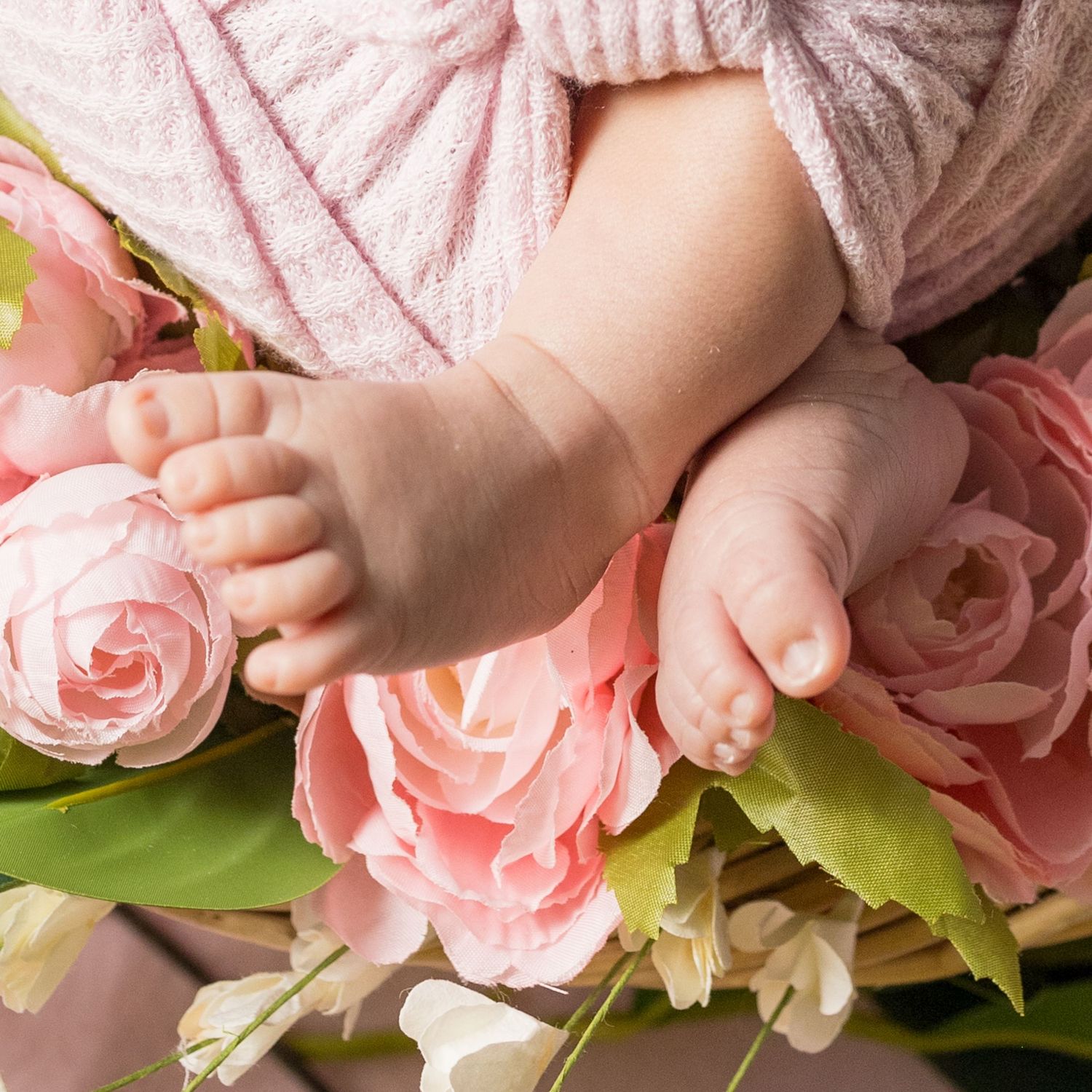 Close-up of tiny baby feet resting among pink roses and green leaves.