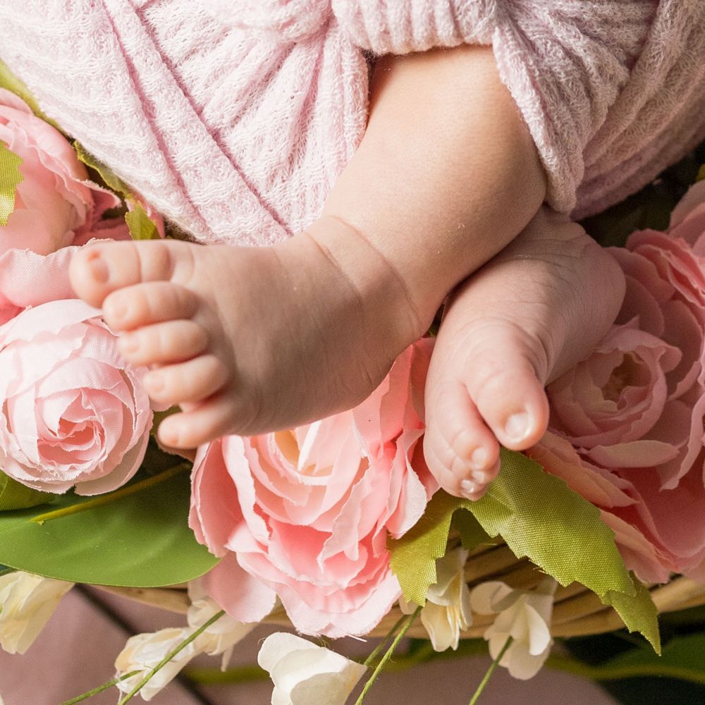 Close-up of tiny baby feet resting among pink roses and green leaves.