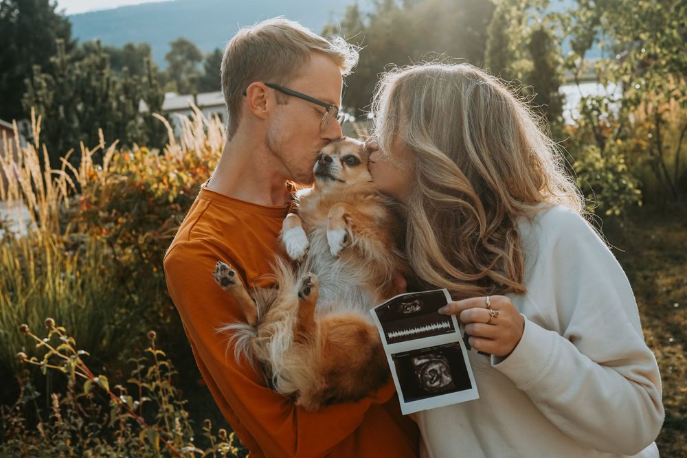 A couple shares a joyful moment with their dog while holding an ultrasound photo in golden sunlight.