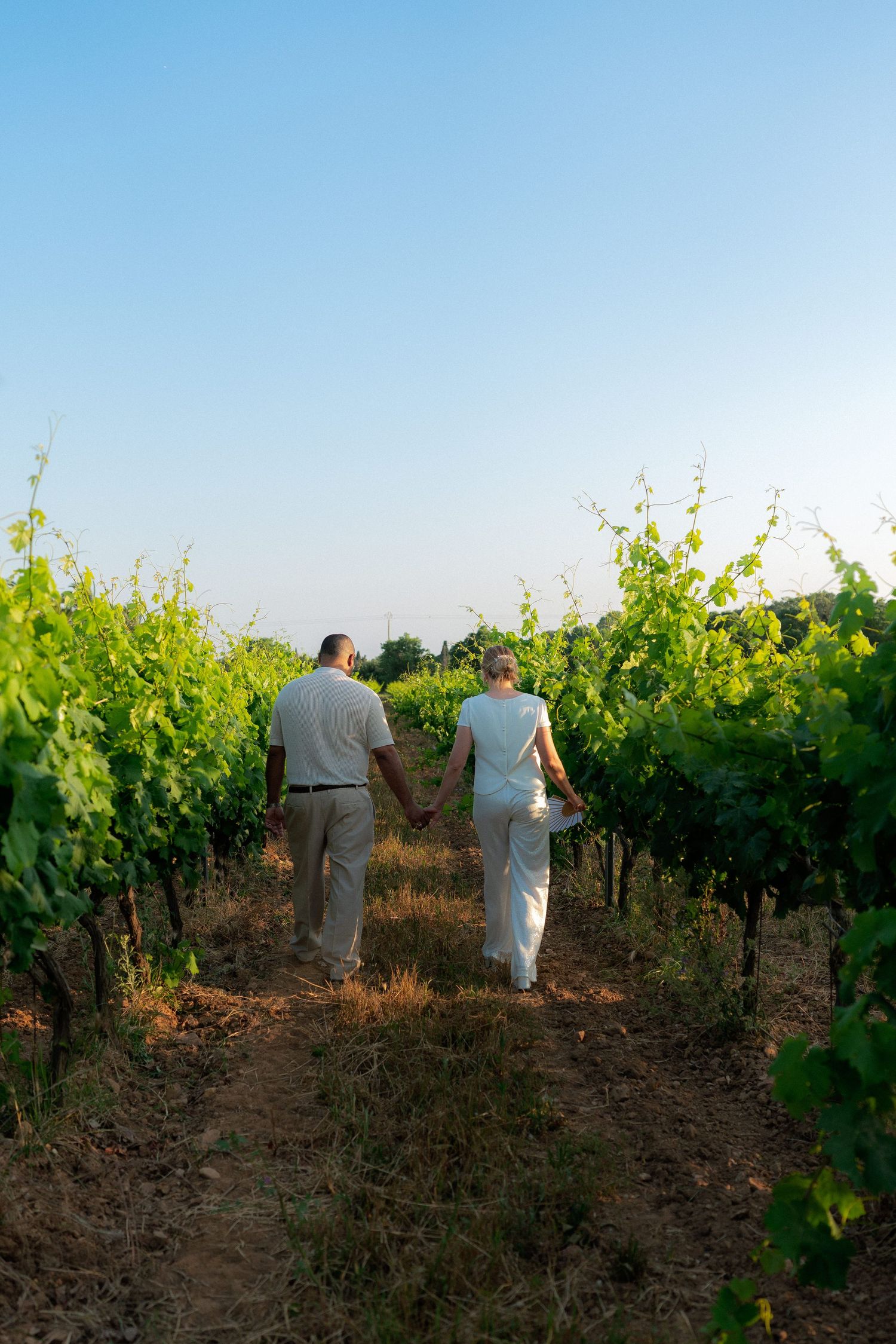 Photo d'une séance couple dans les vignobles provençaux.