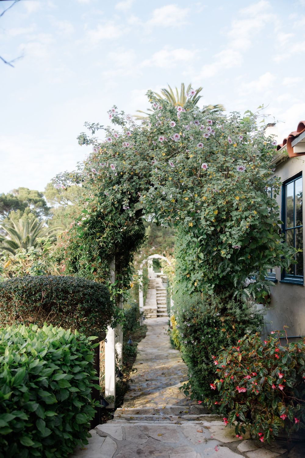 Garden pathway lined with lush flowering bushes and greenery.