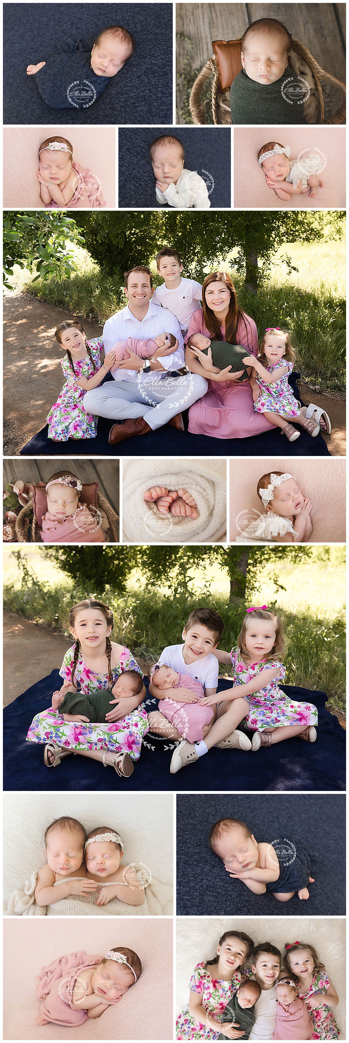 Professional family photo collage featuring newborn portraits and outdoor family shots.