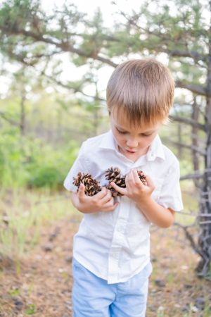 Child in white button-down shirt examines pinecones collected from nature.