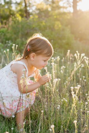 Child in floral dress bends down to examine wildflowers in sunlit field.