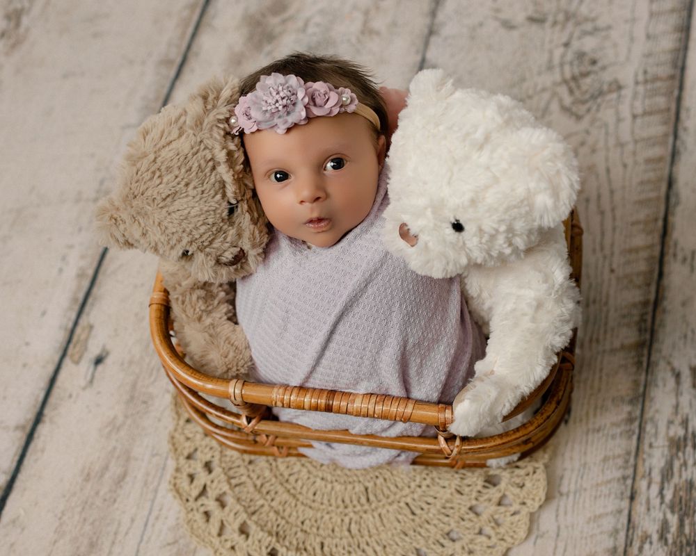 Newborn baby wrapped in lavender swaddle sits in wicker basket with stuffed animals, wearing floral headband.