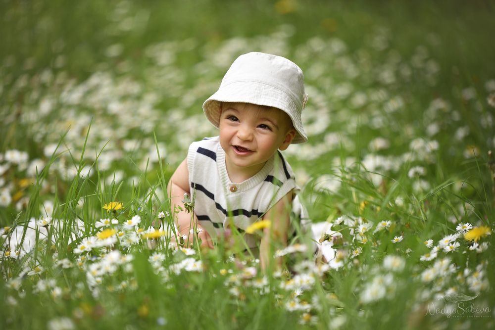 A person relaxes in a vibrant meadow filled with blooming white daisies and lush green grass during springtime.