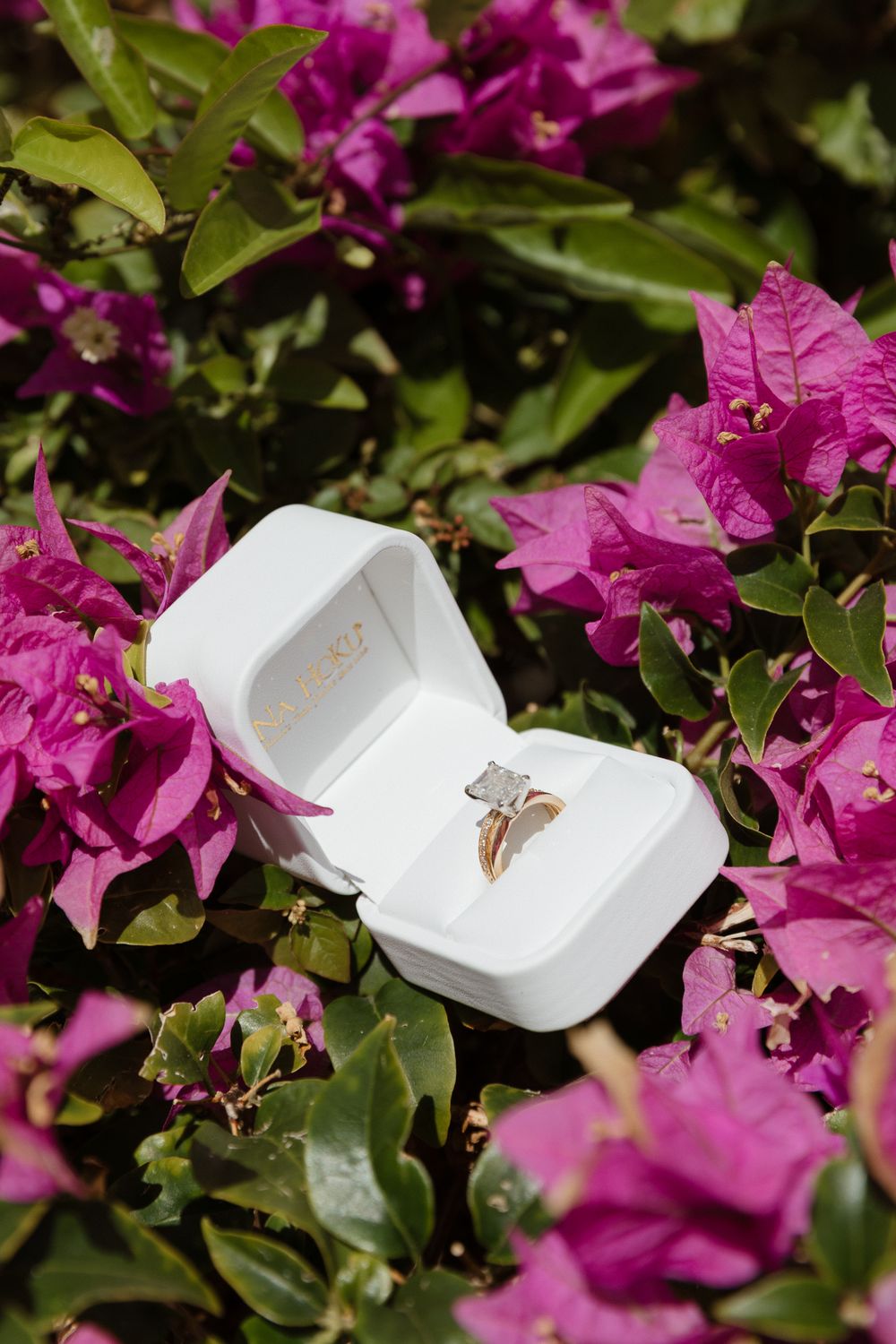 Diamond engagement ring in white box surrounded by vibrant pink bougainvillea flowers and green leaves.