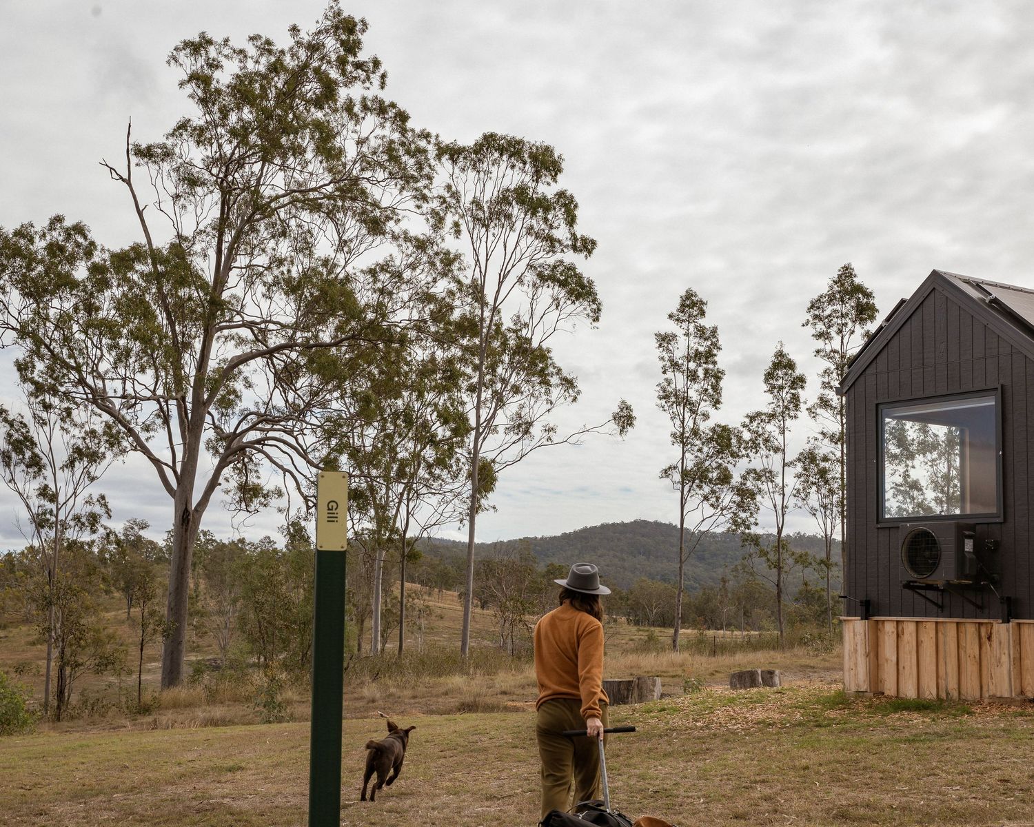 Rural landscape with tiny house and eucalyptus trees in the Australian countryside.