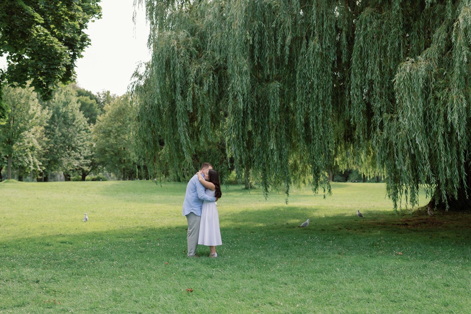 Romantic moment under drooping willow trees in a serene park setting.
