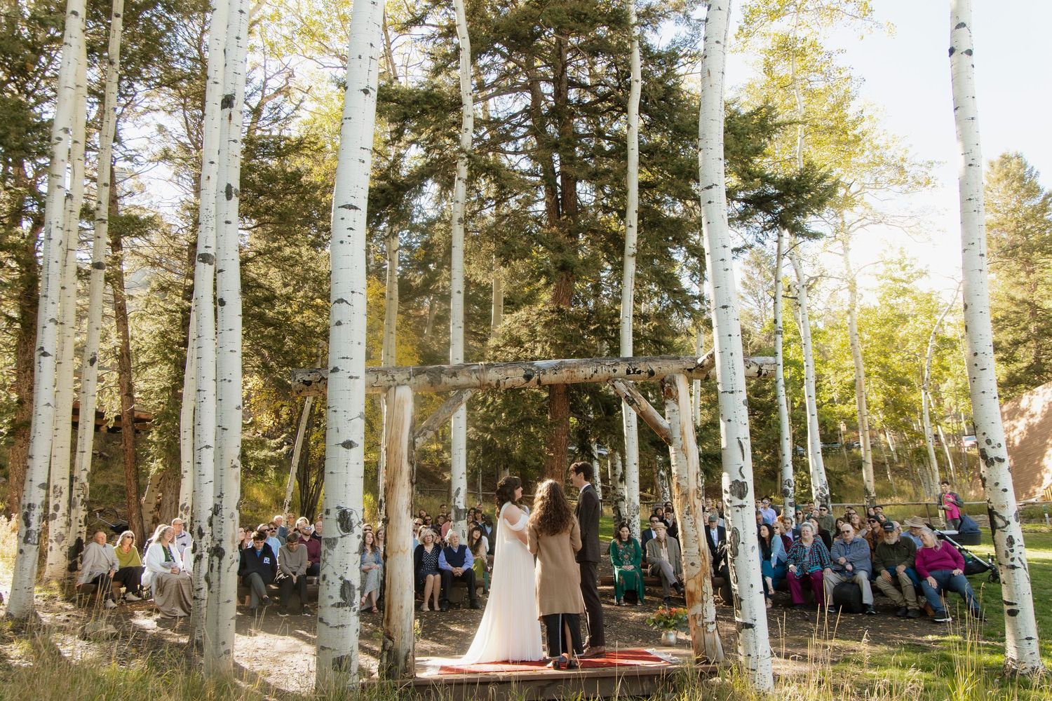 A rustic outdoor wedding ceremony takes place under a wooden arch surrounded by aspen trees in a sunlit forest.