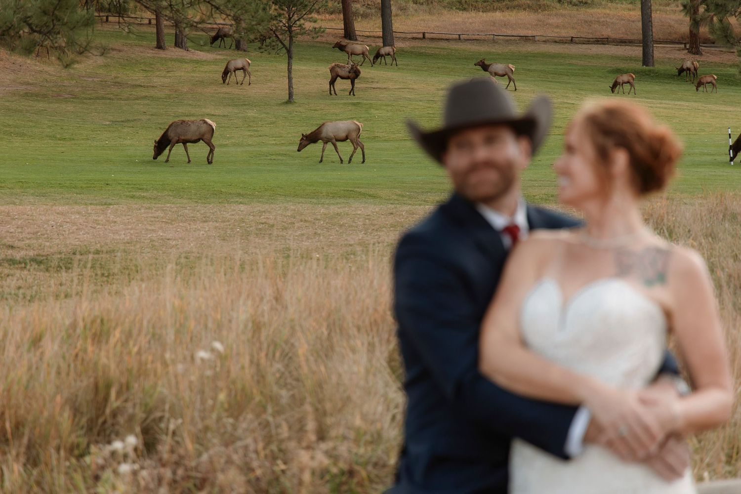 A couple in wedding attire share a romantic moment in a field while elk graze in the background at sunset.