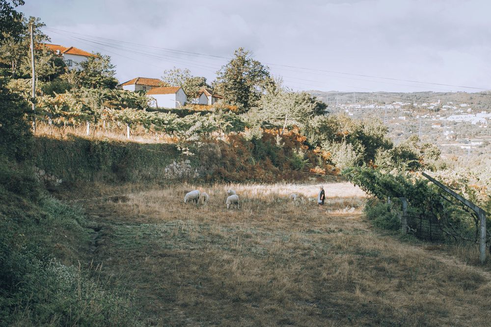 A hillside landscape with buildings on a slope overlooking distant terrain in muted vintage tones.
