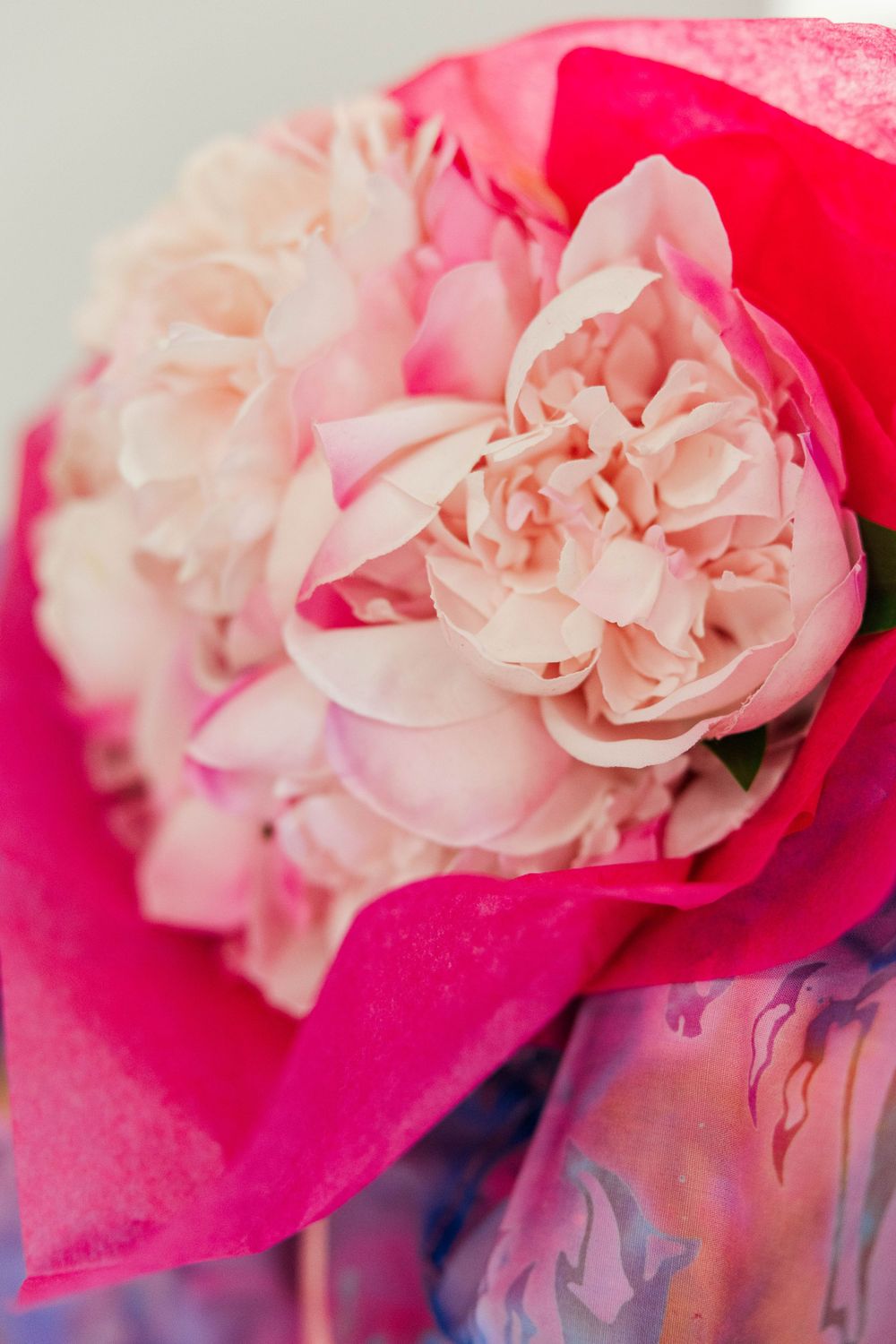 Close-up of a soft pink peony flower wrapped in vibrant hot pink tissue paper.