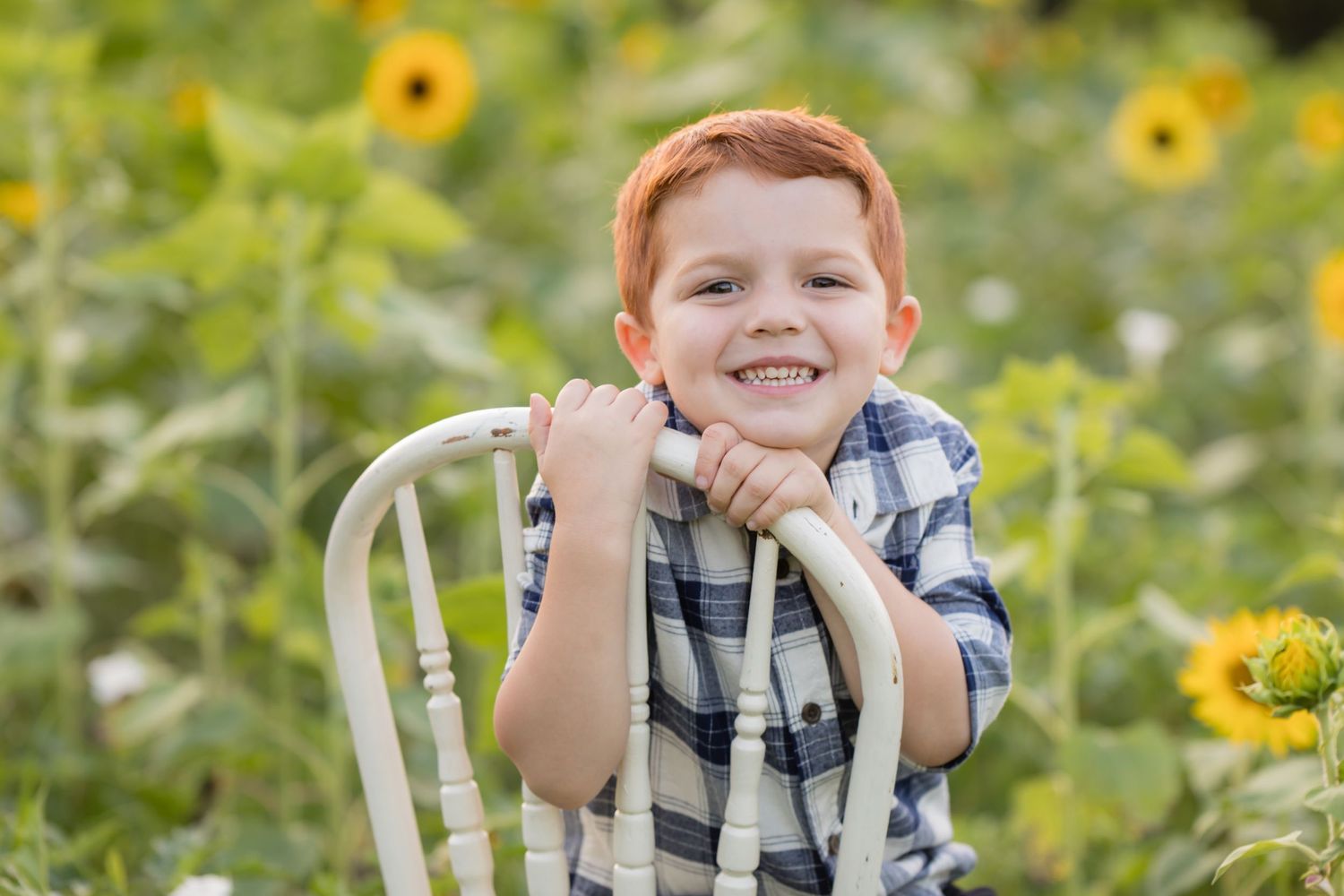 child family photography flower farm session mantua new jersey clayton franklinville millville sunflower zinnia cosmo