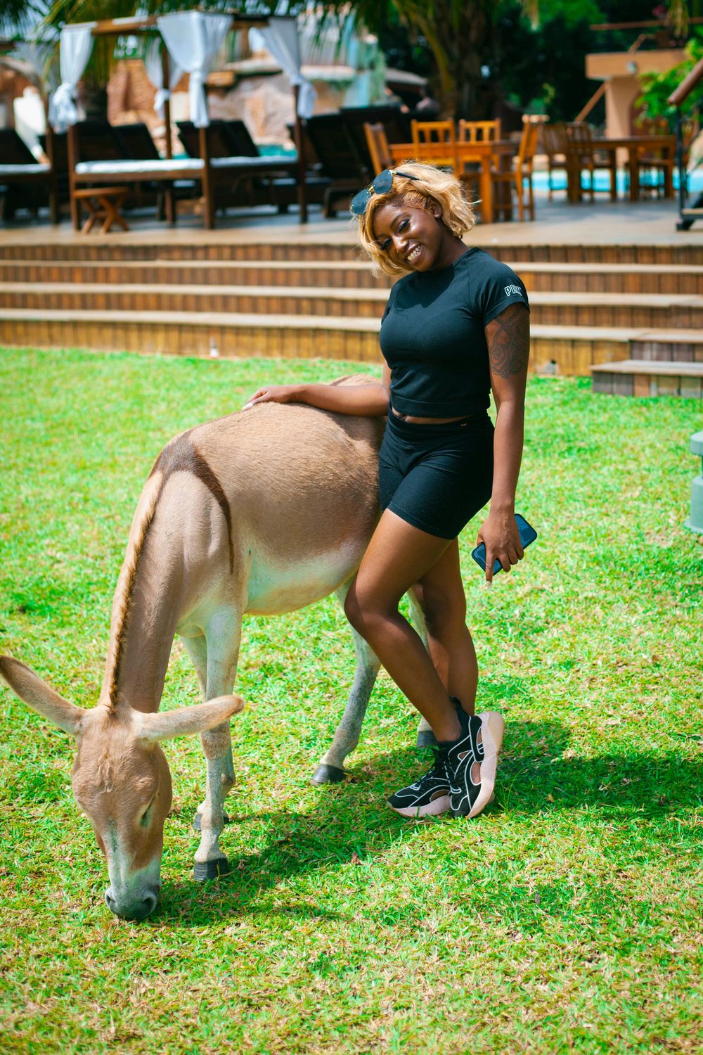 Playful interaction between person and donkey on green grass near brick steps.