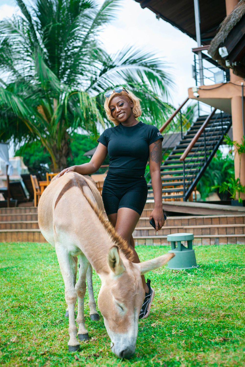 Person in black outfit interacting with a light-colored donkey on grassy lawn with palm trees.