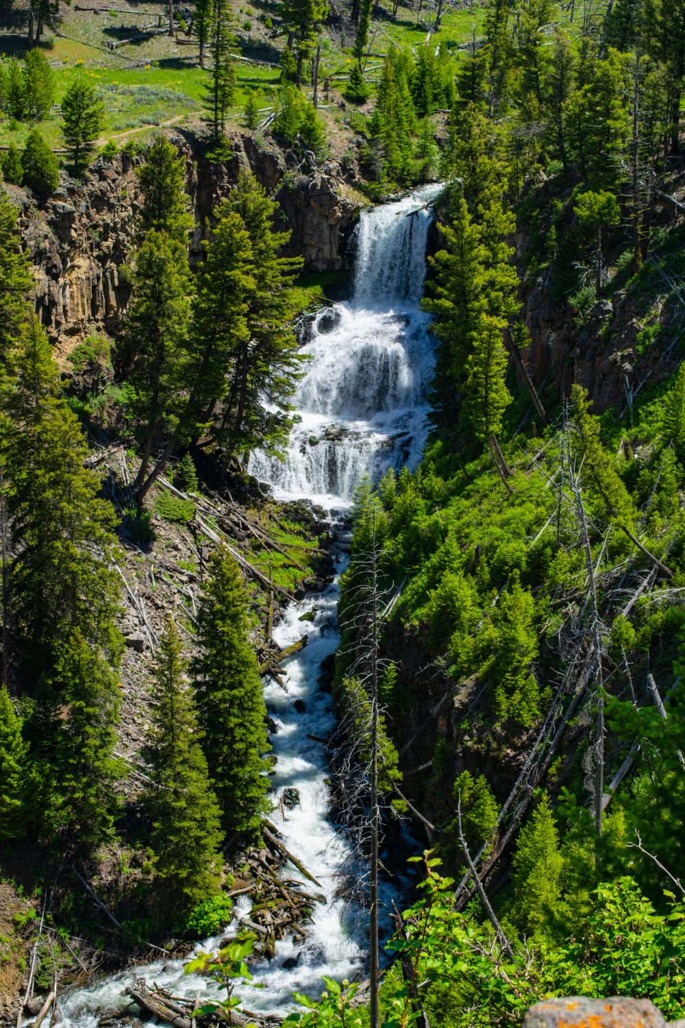 Majestic cascading waterfall flows through evergreen forest in mountainous terrain.
