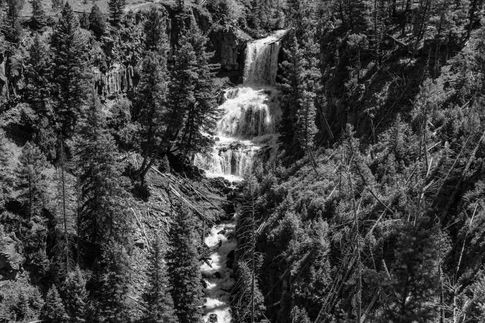 Black and white photograph of dramatic multi-tiered waterfall surrounded by pine forest.