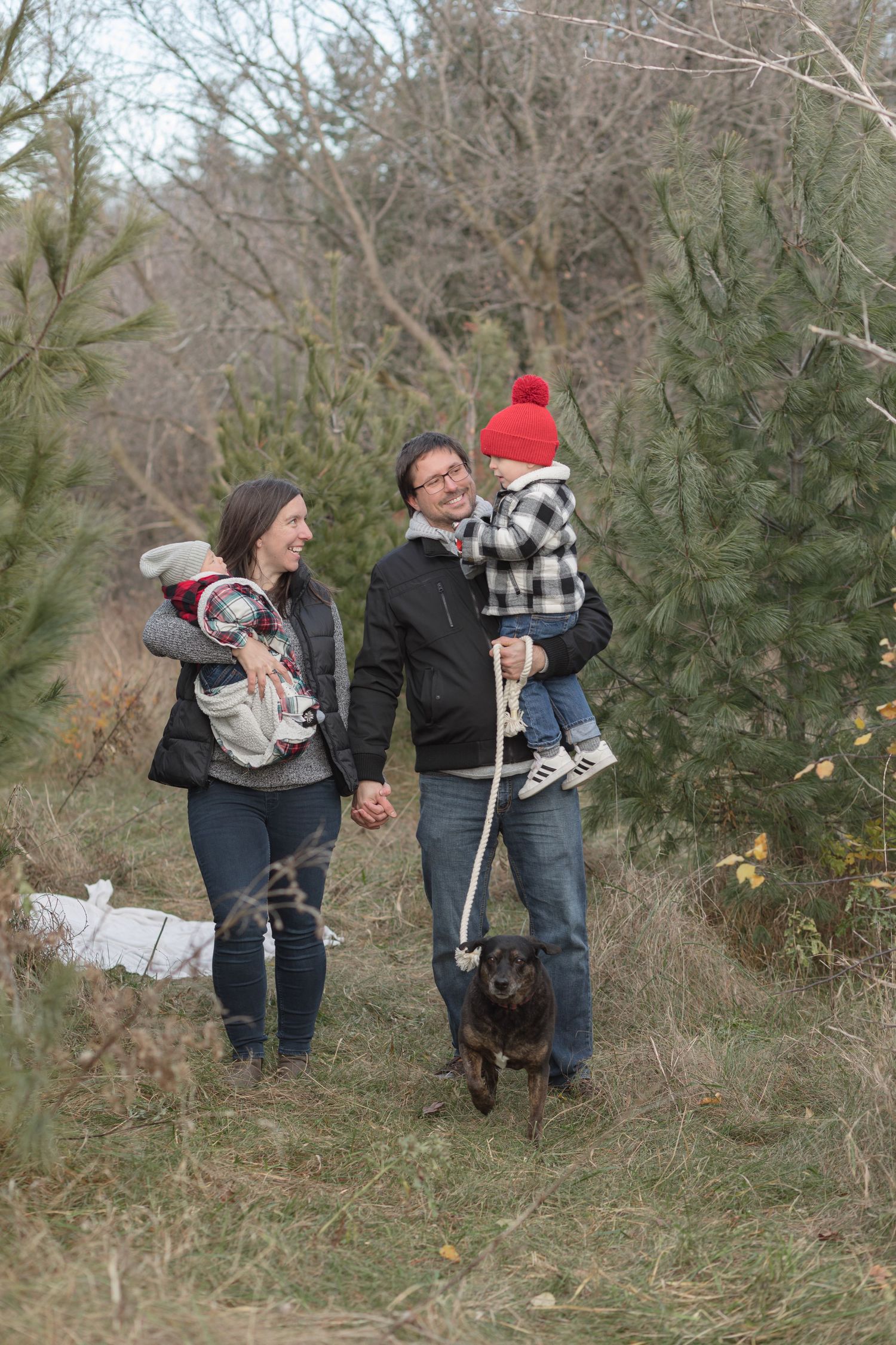 Smiling couple holding hands while carrying two young children and walking a dog through a grassy evergreen tree farm in fall.