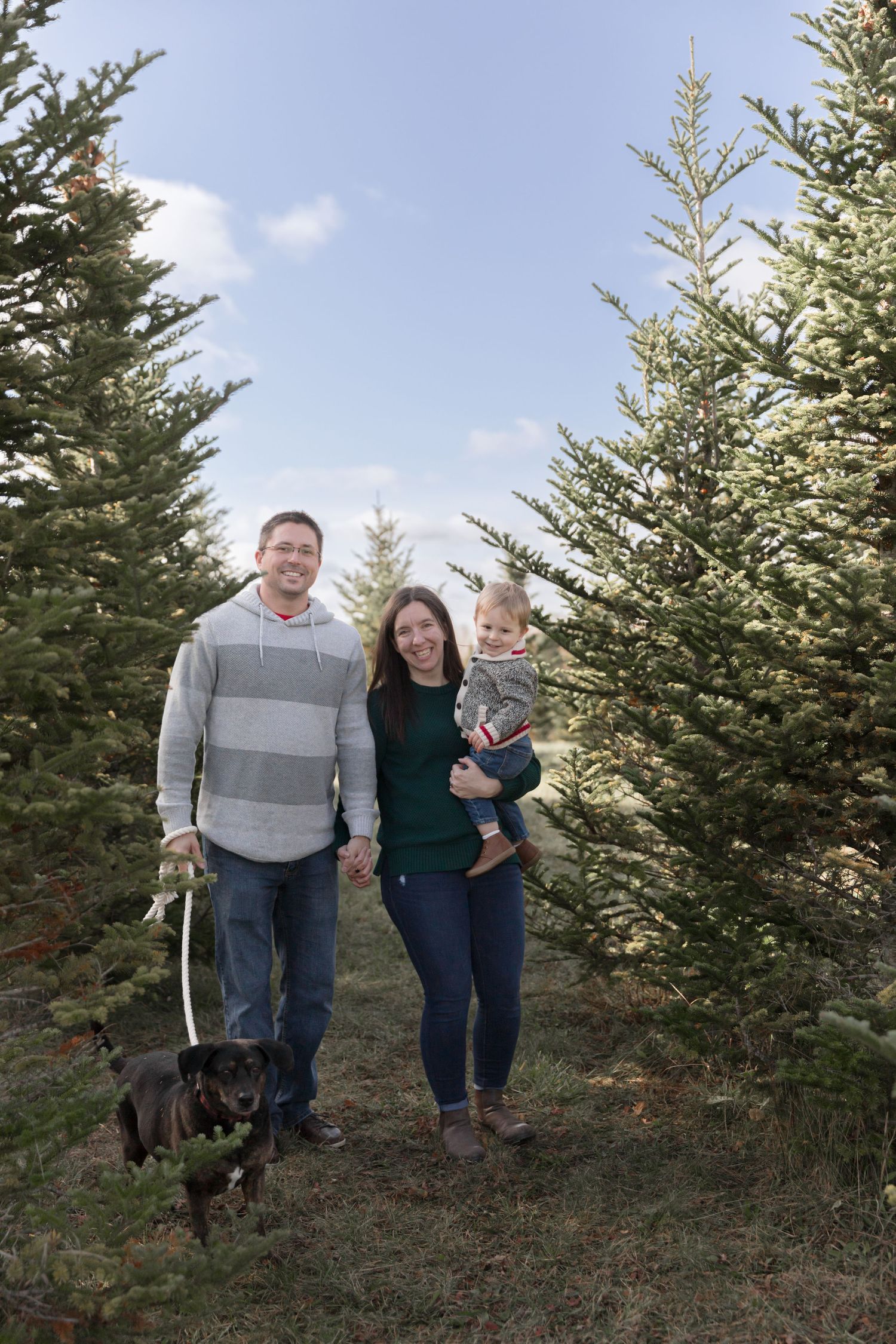 A family and their dog walk together through rows of evergreen trees at a Christmas tree farm.