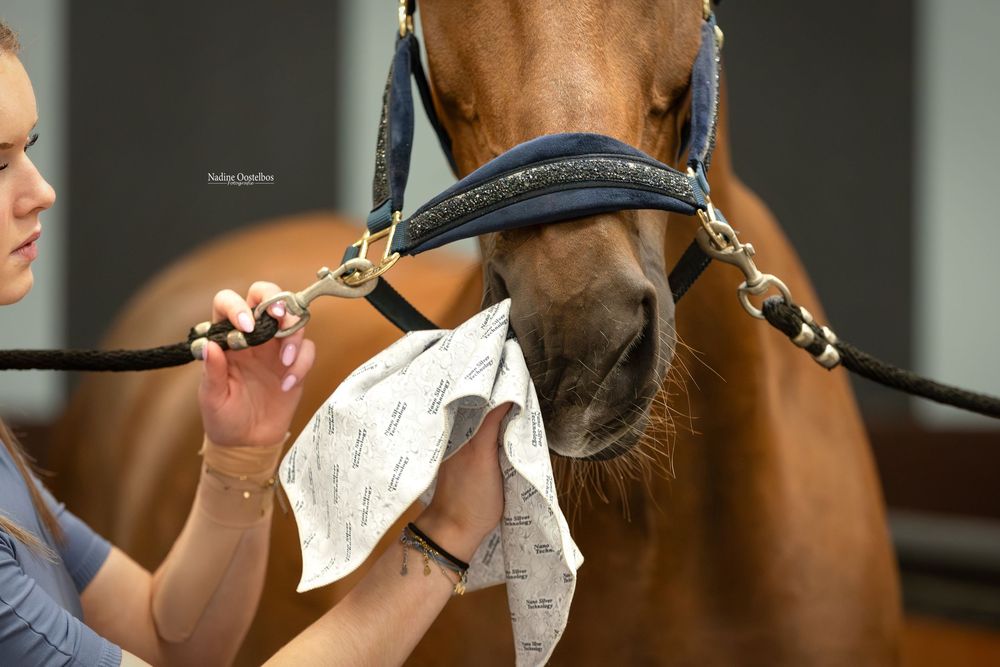 Paardenfotografie - Nadine Oostelbos Fotografie
