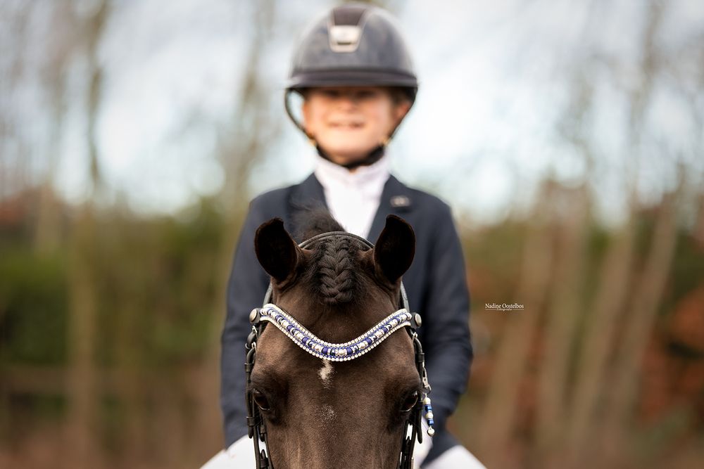 Paardenfotografie - Nadine Oostelbos Fotografie