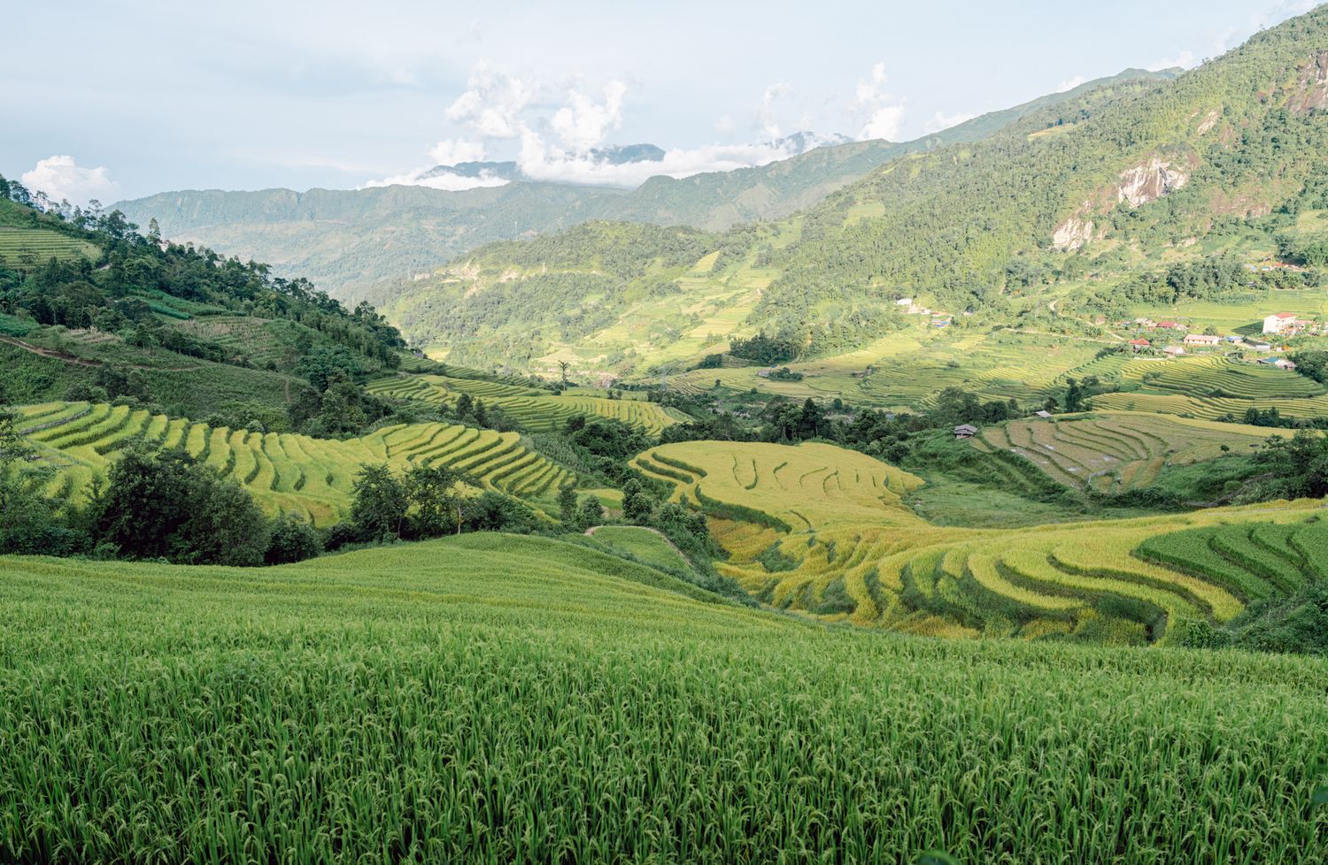 Sapa Elopement Vietnam