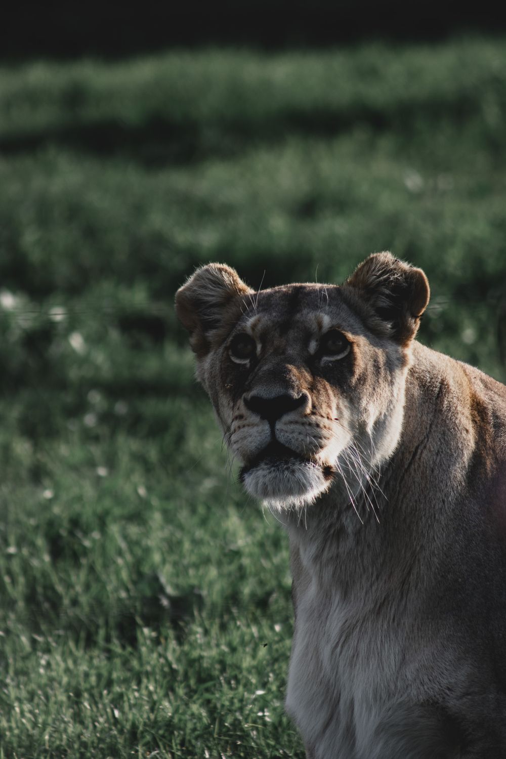 South Africa Environment