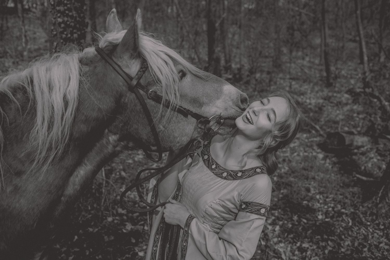 IL Photography Portraitfotografie Amy horse