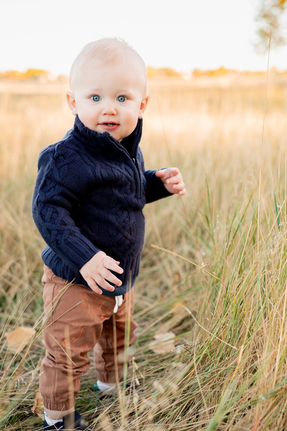 Family photoshoot in Littleton, Colorado