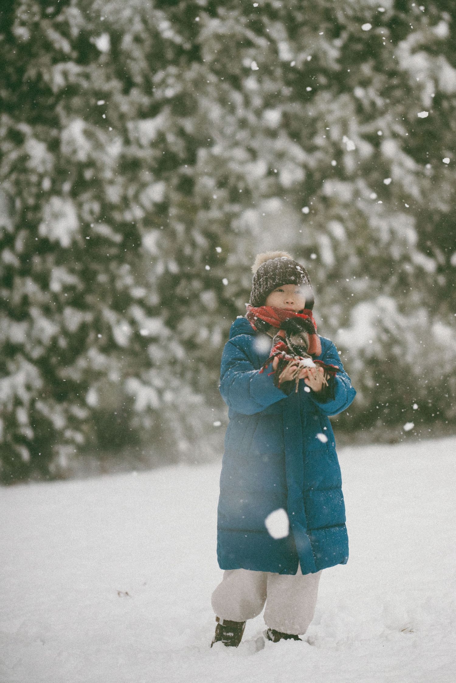 Small child in a blue winter coat and knit hat stands in falling snow holding a toy against a snowy background.
