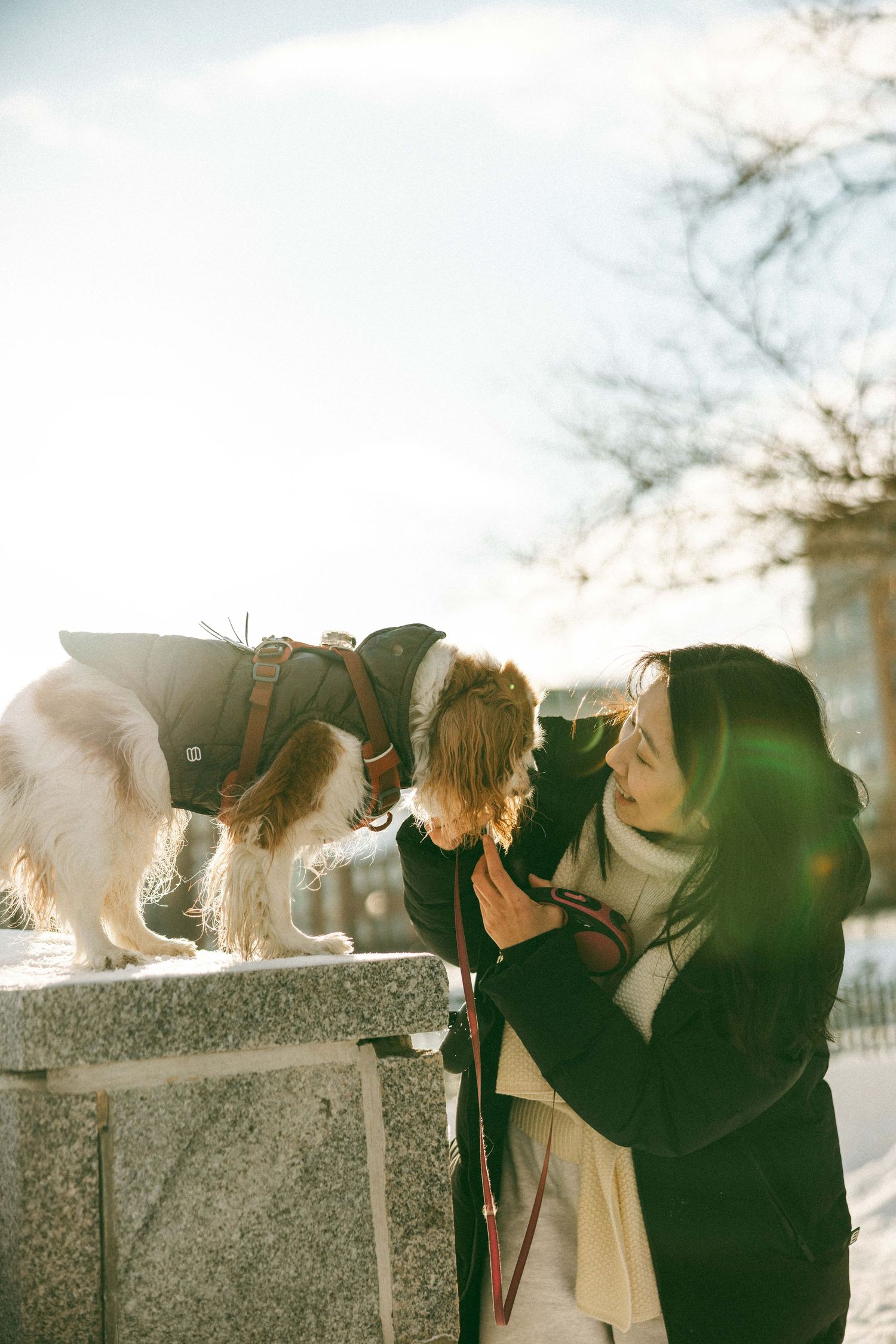 A series of photos showing a photographer taking pictures of a white cat sitting on a concrete ledge at sunset.