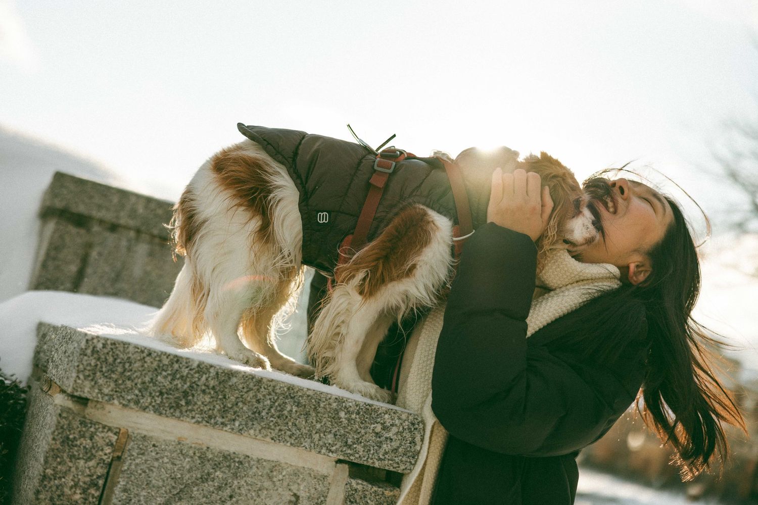 A golden retriever dog and someone share a tender moment outdoors during golden hour with sunlight streaming through trees.