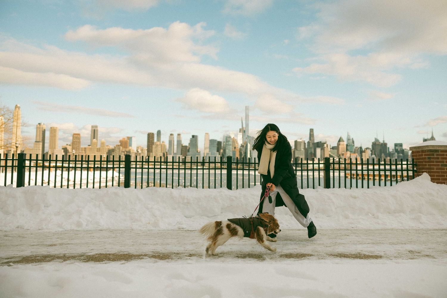 Person in a winter coat walking a dog along a snowy path with the New York City skyline visible in the background.