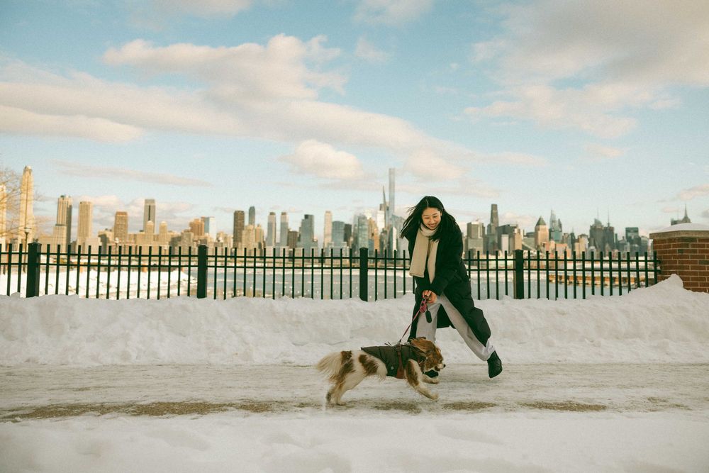Person in a winter coat walking a dog along a snowy path with the New York City skyline visible in the background.
