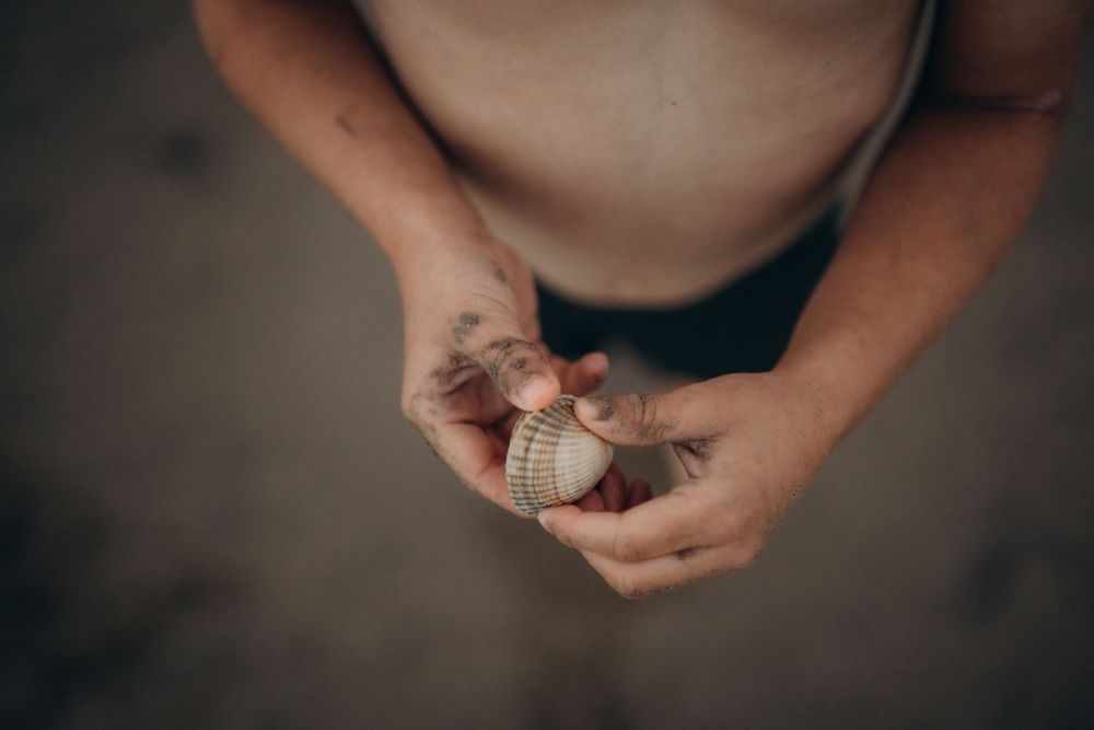 a close up of some child's hands holding a shell, kent family photographer