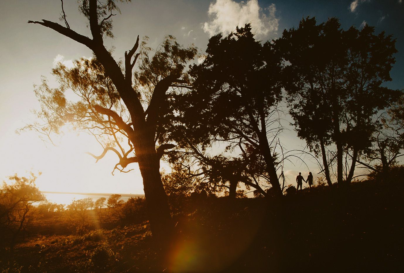 Silhouetted trees and people against a golden sunset sky in a scenic outdoor landscape.