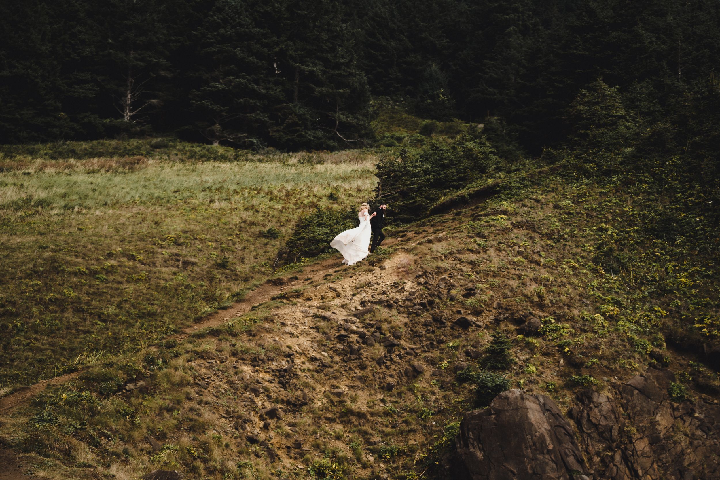 Bride in white wedding dress standing on a rocky hillside surrounded by lush green forest and golden meadow.