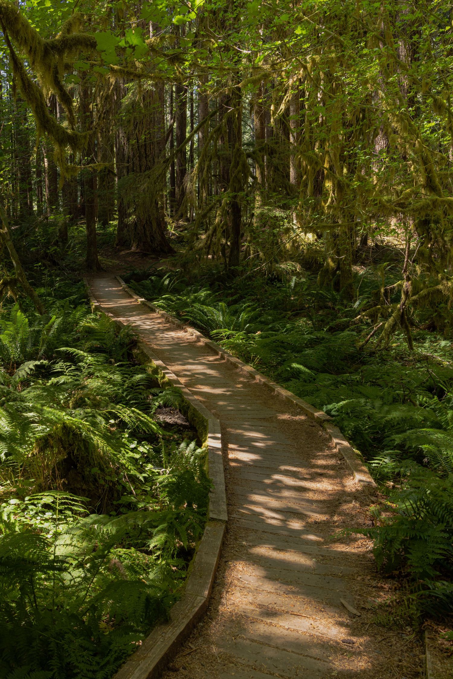Olympic National Park