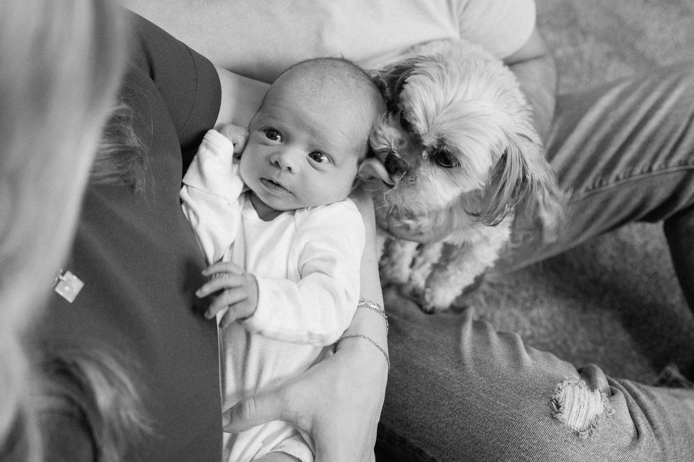 A heartwarming black and white image of an infant lying next to a small white dog on a couch.