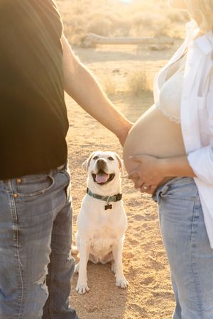 Maternity photoshoot in eastern North Carolina with the couples lab dog