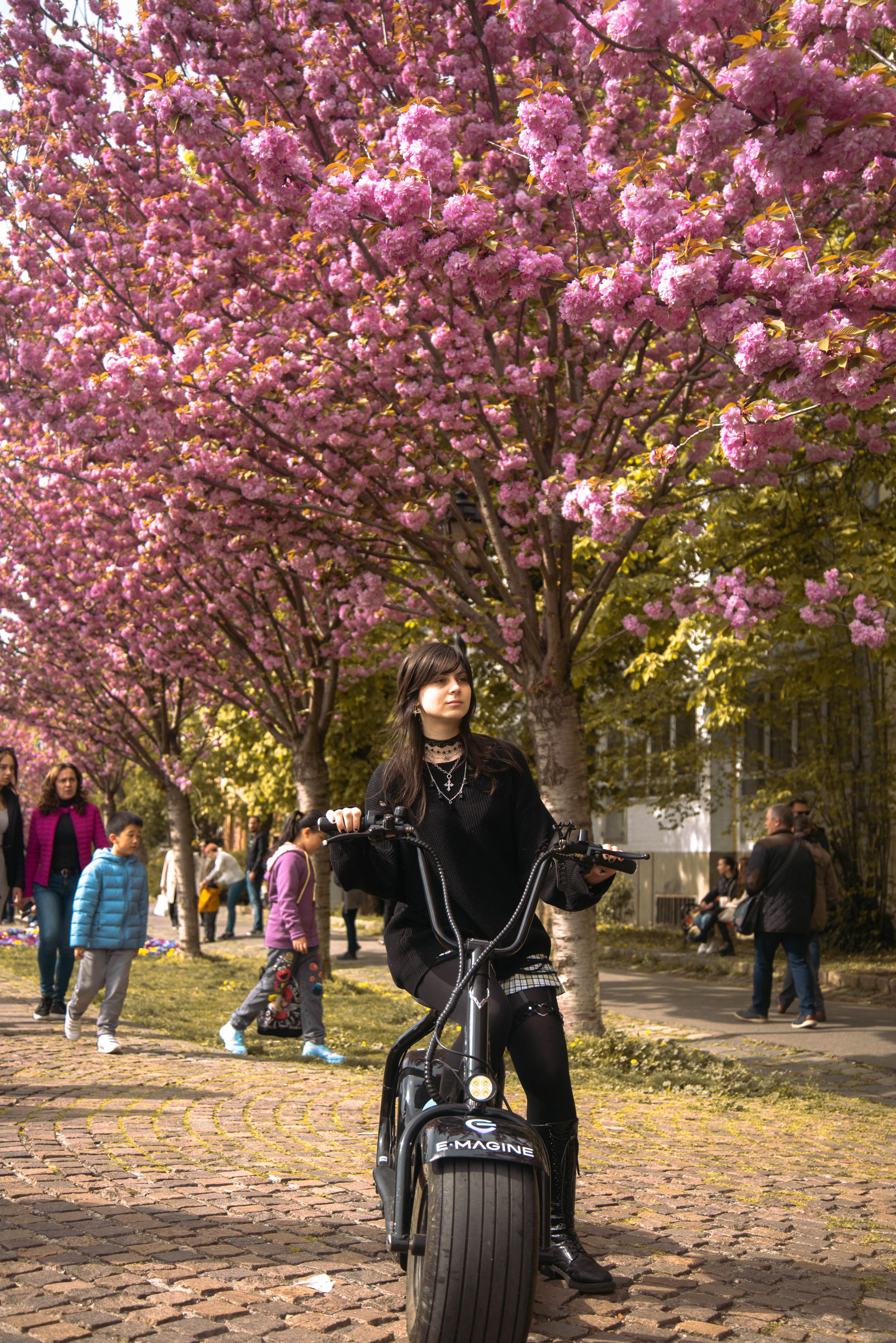 E-Magine Tours Budapest