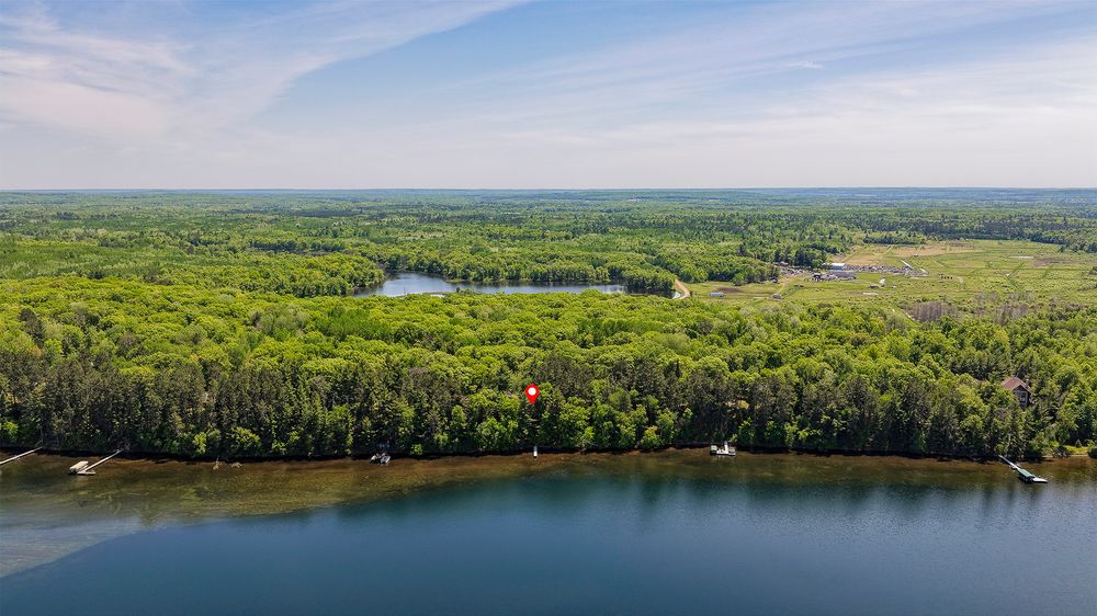 Aerial view of a lush green forest bordering a calm blue lake with a dock and red balloon visible among the trees.