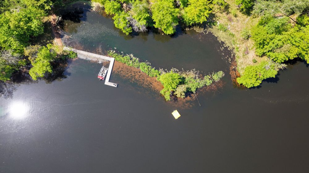 Aerial view of a wooden dock extending into a calm river surrounded by lush green trees and aquatic vegetation.