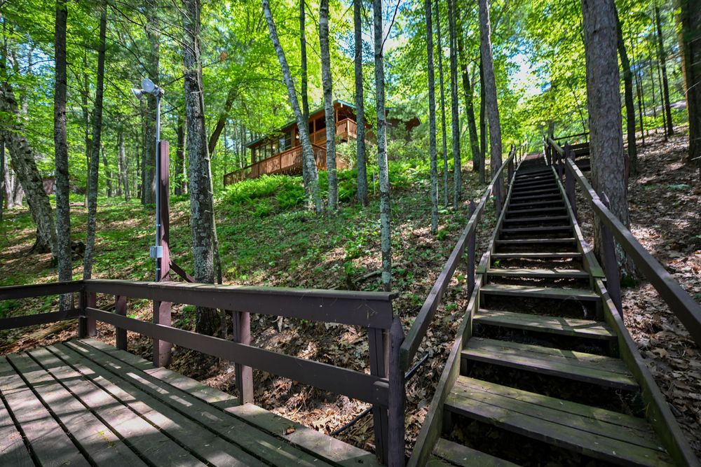 Wooden stairs leading through lush green forest to a rustic cabin nestled among tall trees on a hillside.