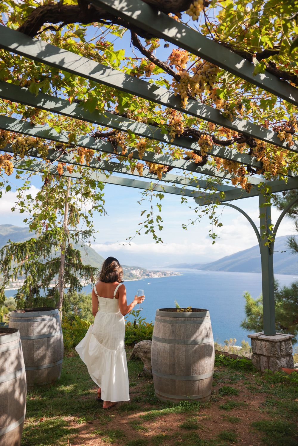 White-clad figure beneath a grape-covered pergola overlooking a scenic coastal landscape.